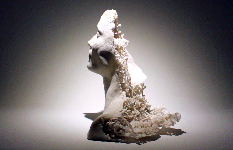 carré or WEB 800px