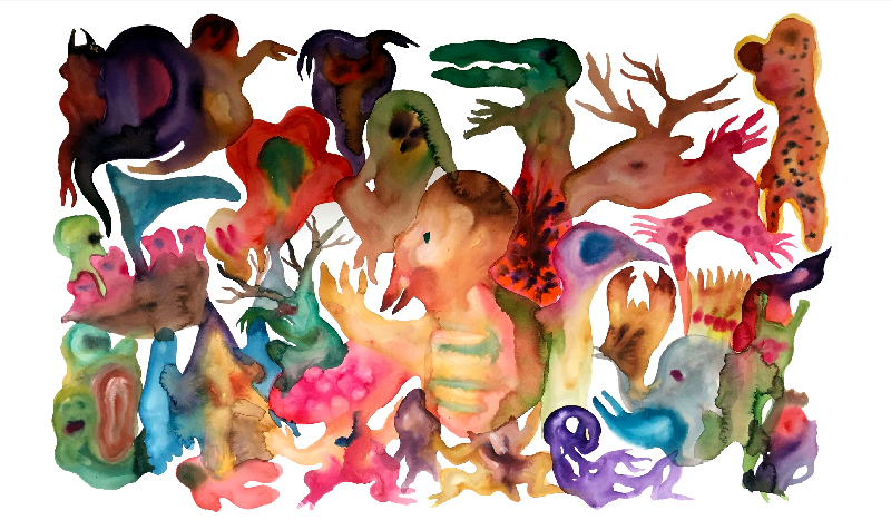 carré or WEB 800px