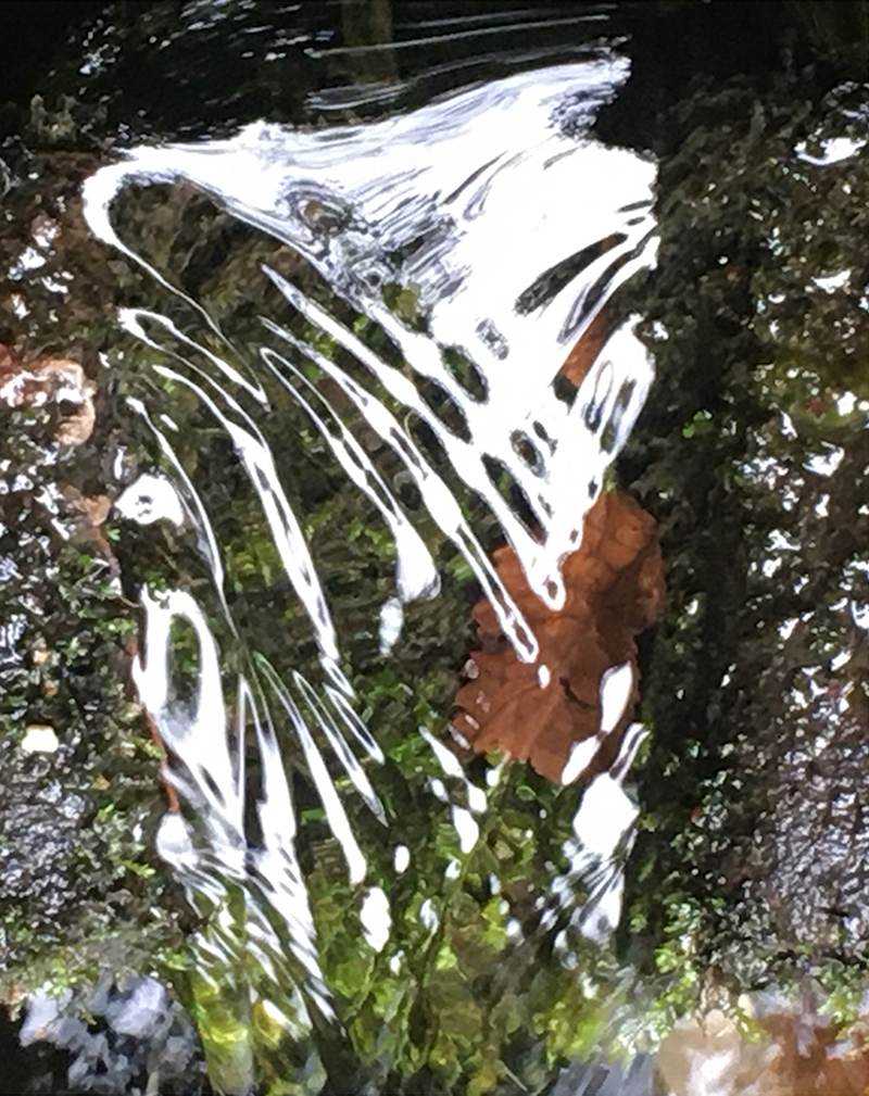 Patrik Marty photographie 