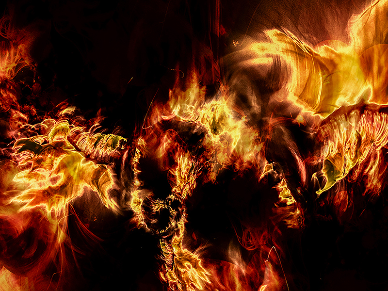 Marie-Ange Van Meyel photographie